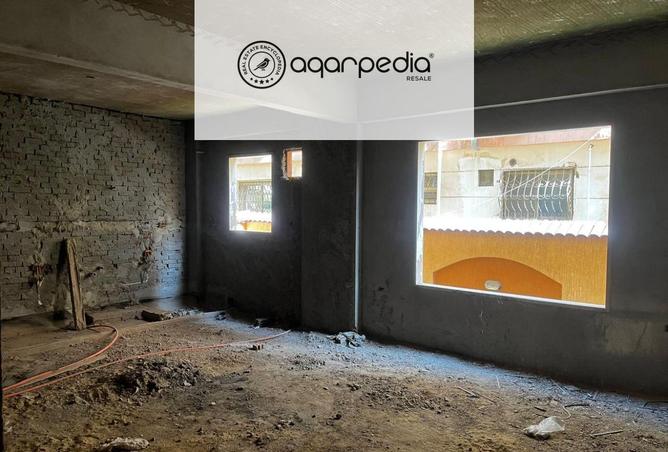 8130229 - Property Image 3