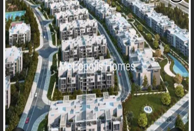 8147276 - Property Image 3