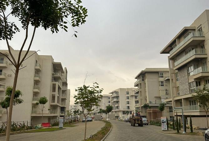 8471786 - Property Image 2