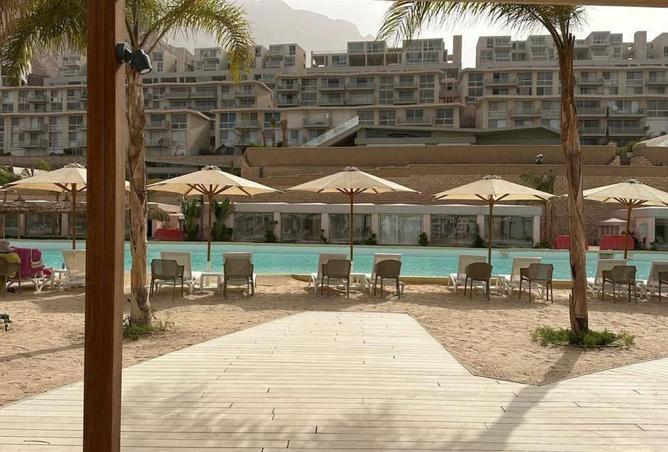 8552582 - Property Image 3