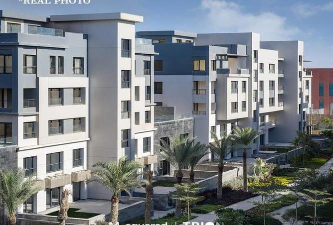 8222734 - Property Image 3