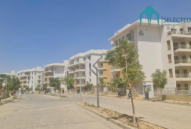 8078005 - صورة العقار 2