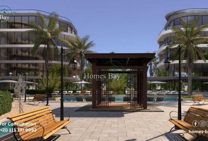 8251577 - Property Image 3