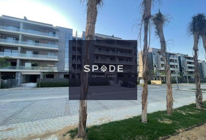 8451717 - Property Image 3