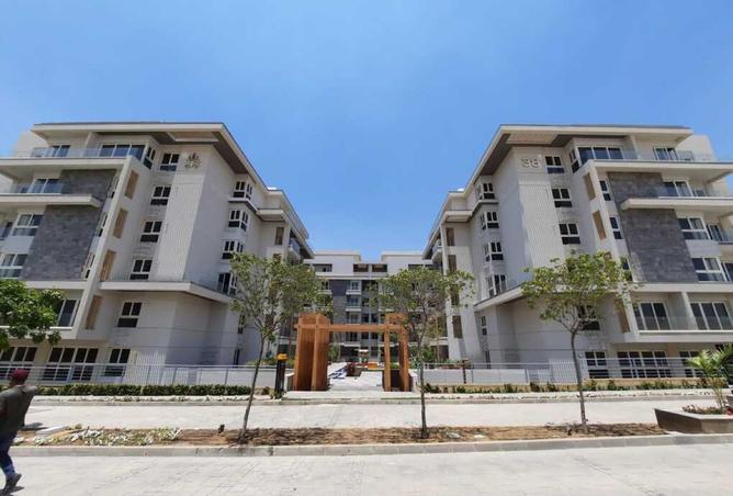 8559006 - صورة العقار 3