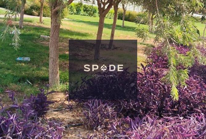 8420925 - صورة العقار 2