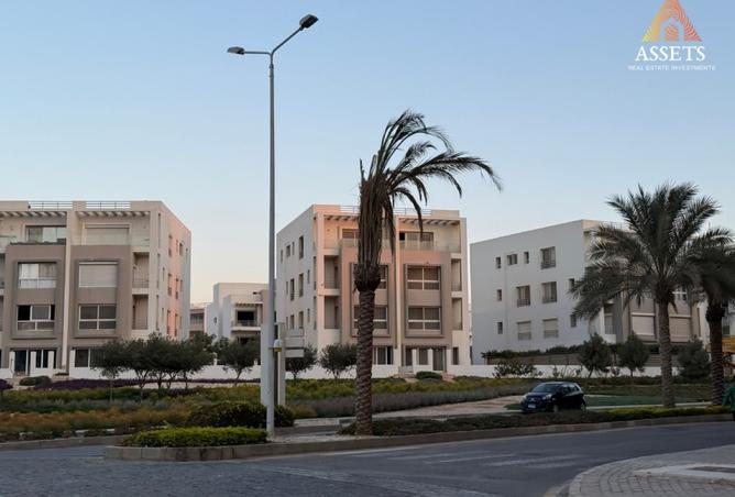 8285794 - صورة العقار 3