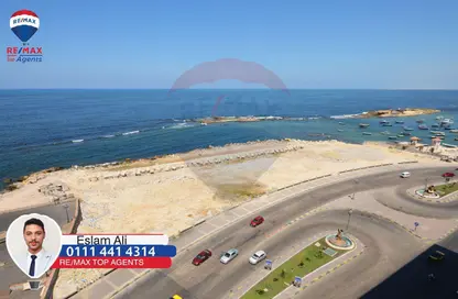 شقة - غرفة نوم - 1 حمام للايجار في سيدي بشر - حي اول المنتزة - الاسكندرية
