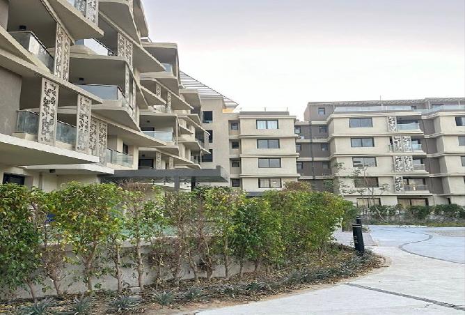 7978163 - Property Image 3