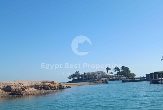 8117020 - Property Image 3