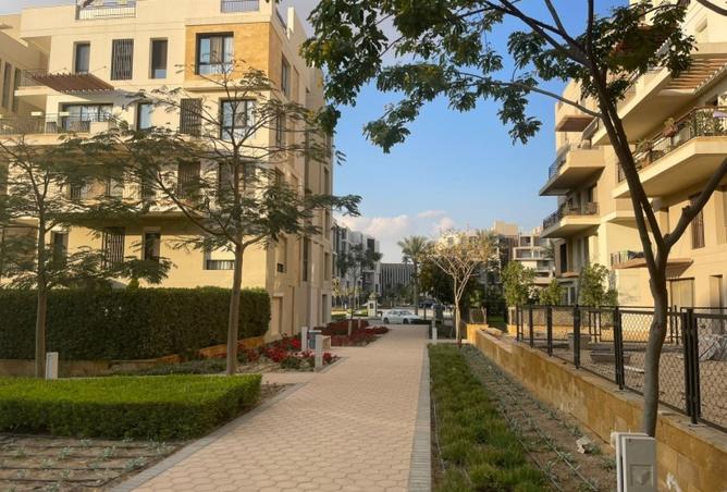 8176397 - صورة العقار 3