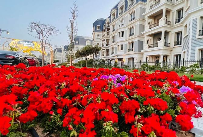 8414266 - صورة العقار 2