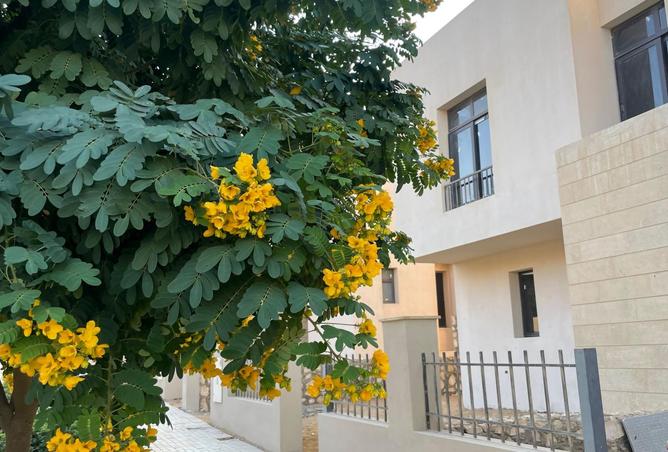 7946321 - صورة العقار 2