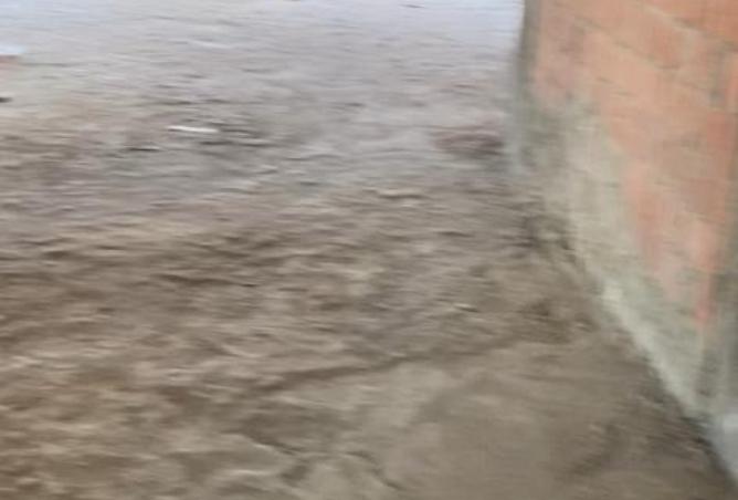 8367376 - صورة العقار 2