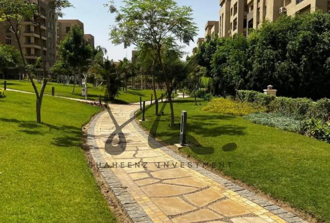 8235596 - صورة العقار 2