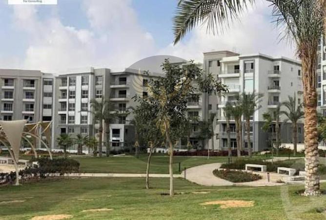 8065534 - Property Image 3