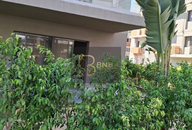 8116961 - Property Image 2