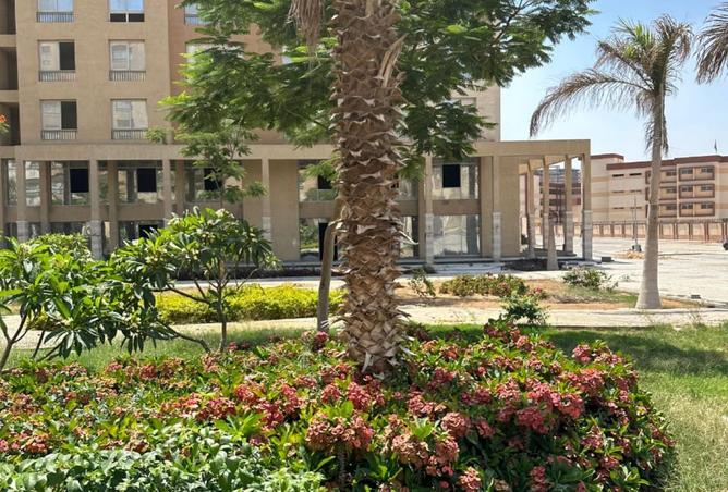 8404786 - Property Image 2