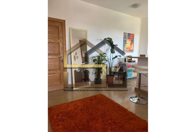 8315869 - Property Image 3