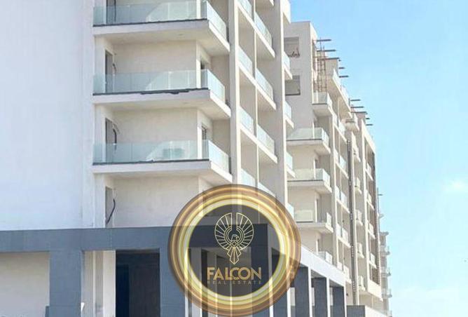 8452278 - Property Image 3