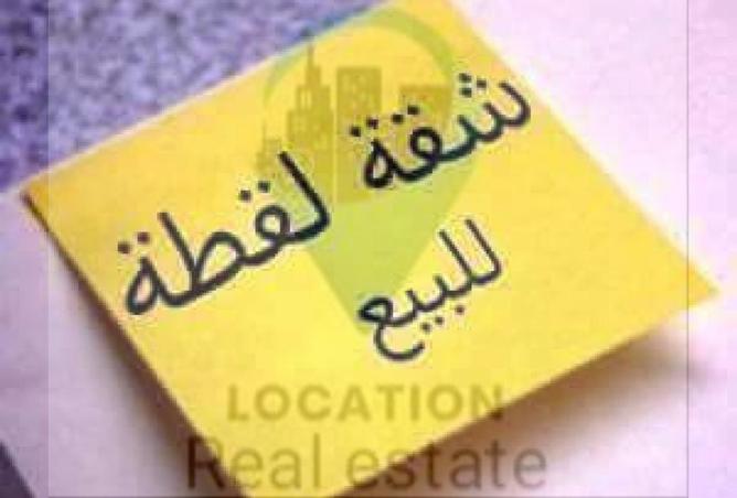 8169077 - صورة العقار 3