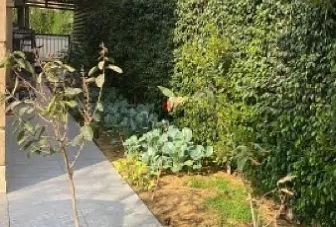 8184362 - صورة العقار 2