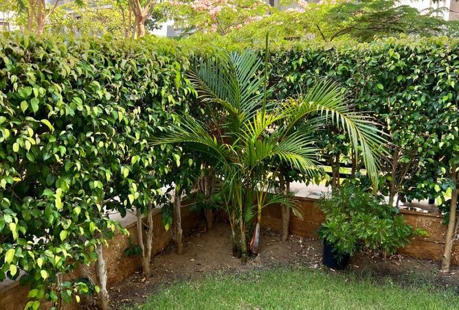 8145627 - Property Image 3