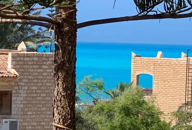 7920315 - الصورة الرئيسية للعقار