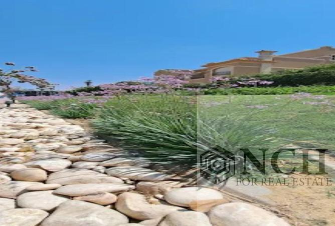 8360235 - Property Image 3