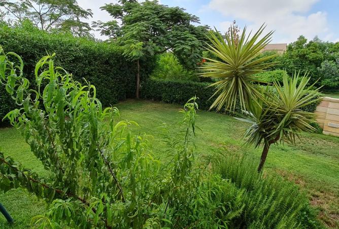 8554801 - صورة العقار 3