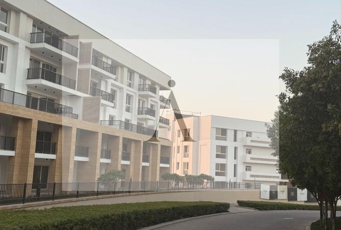 8019525 - Property Image 3