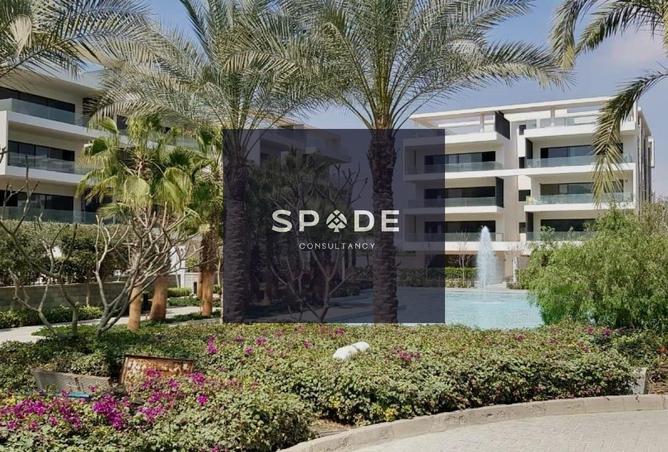 8484181 - Property Image 3