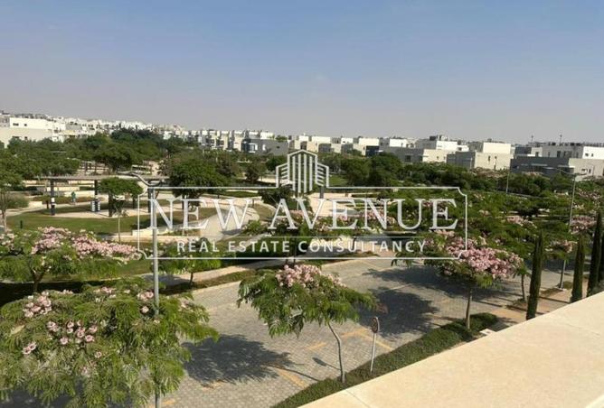 8253844 - صورة العقار 2