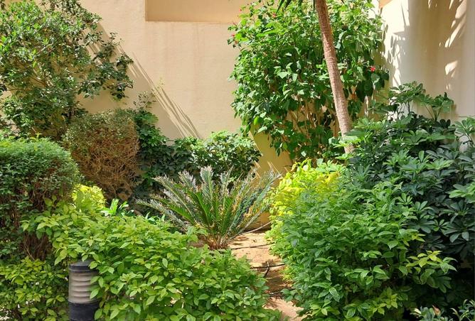 7903686 - صورة العقار 3