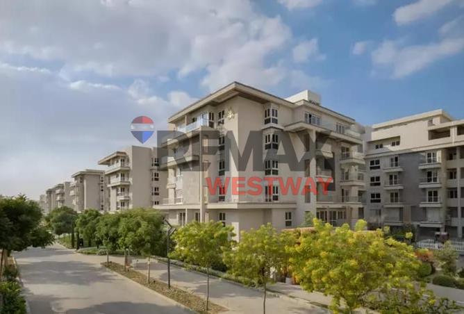 8426306 - Property Image 3