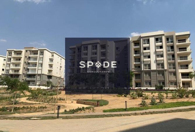 8549656 - Property Image 3