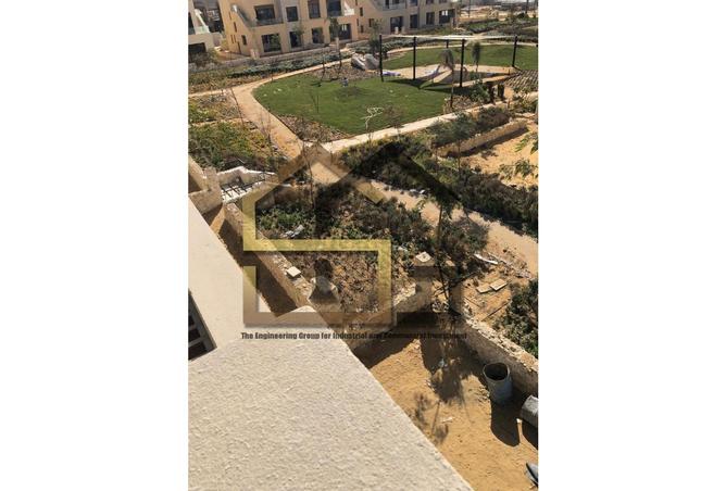 7977414 - صورة العقار 3