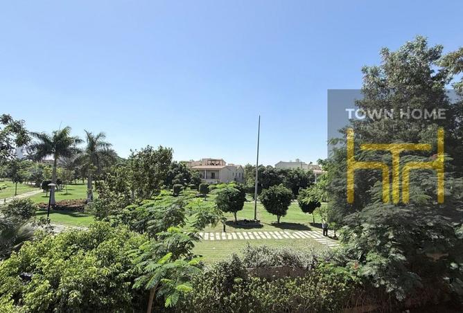 8380536 - Property Image 2