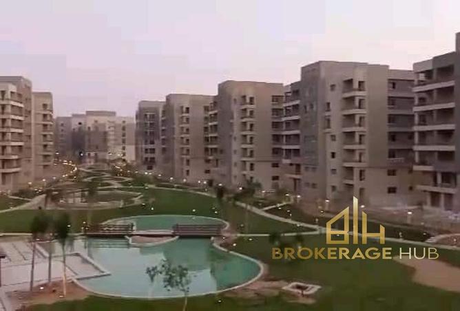 7950431 - صورة العقار 3