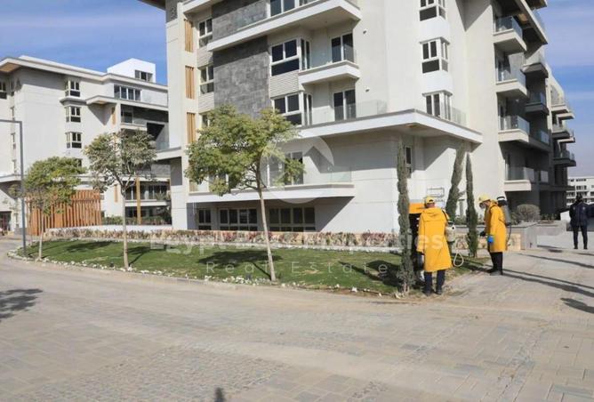 7945843 - Property Image 3