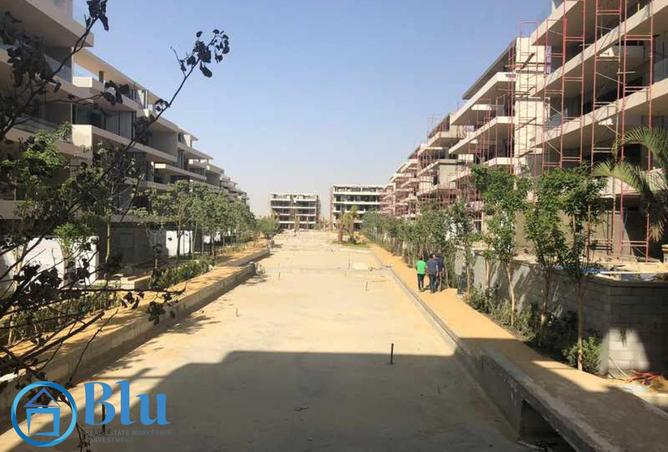 8163261 - Property Image 2