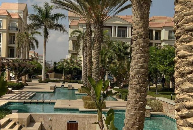 8162060 - Property Image 3