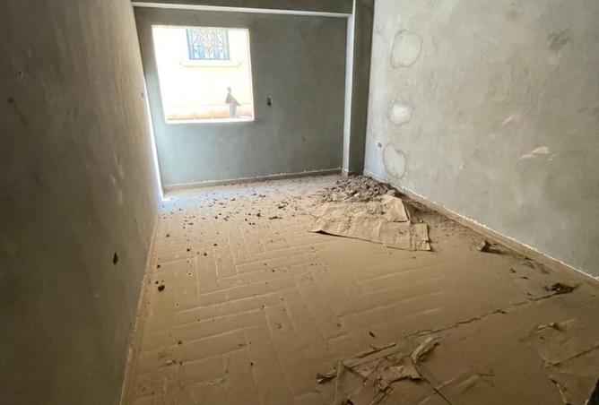 8199339 - Property Image 3