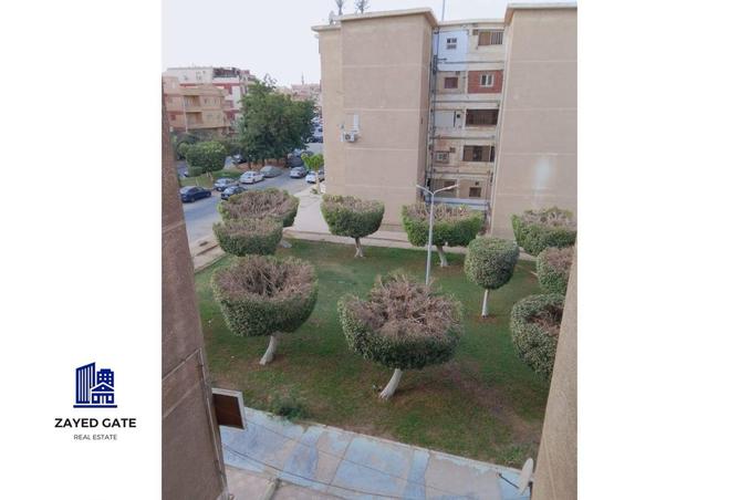 8362010 - صورة العقار 3