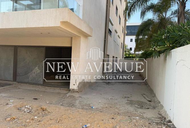 8088708 - Property Image 2