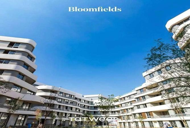 8456066 - الصورة الرئيسية للعقار