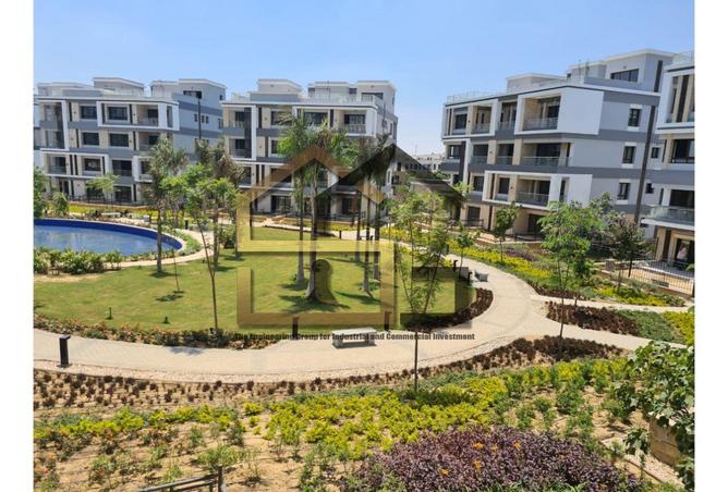 8233957 - Property Image 2