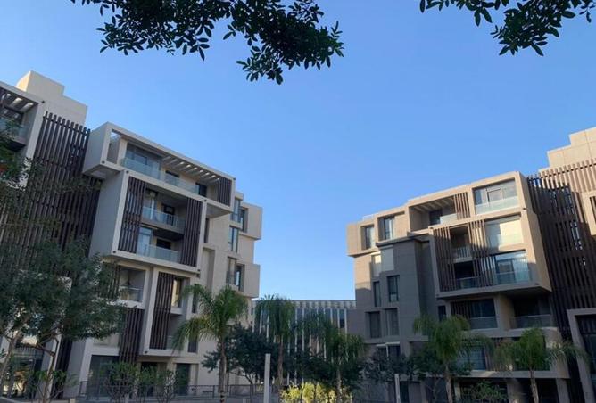 8341828 - Property Image 3