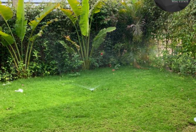 8561383 - صورة العقار 3