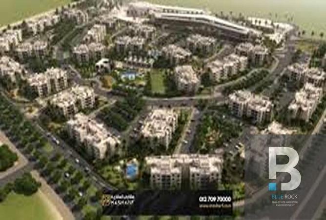 7990510 - Property Image 2